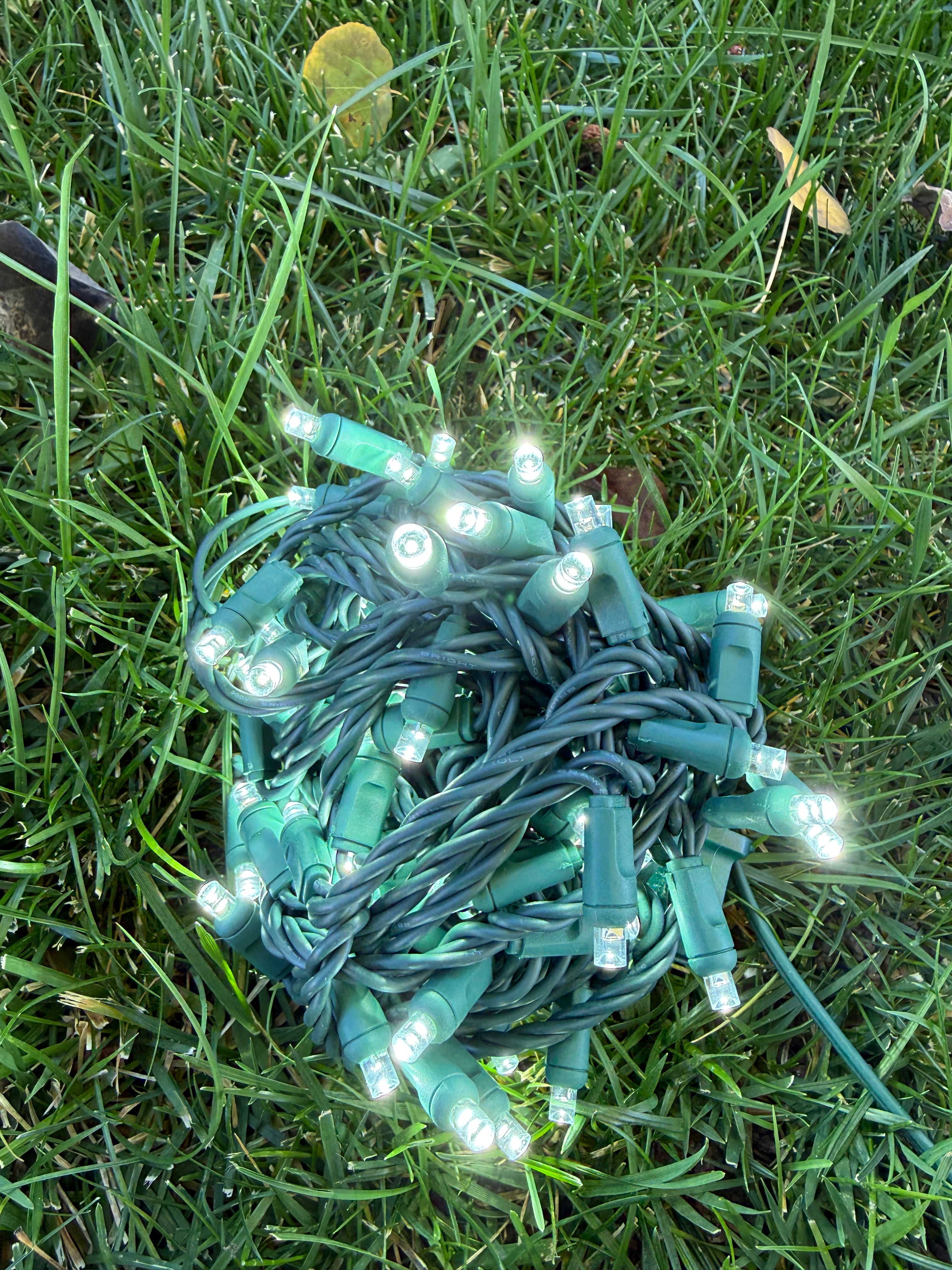 5 mm LED String Light Set – 100 Lights, 4″ Spacing
