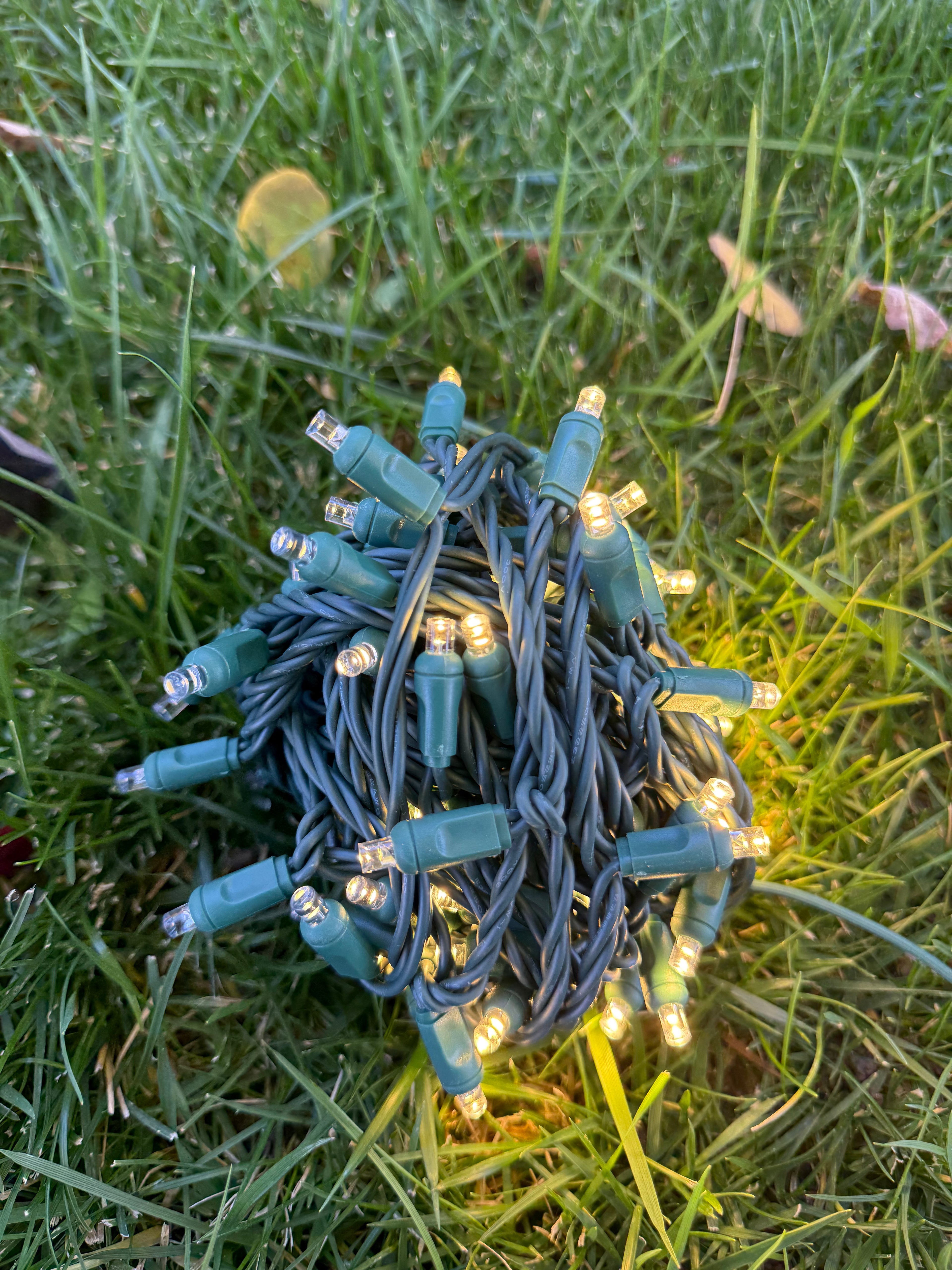 5 mm LED String Light Set – 100 Lights, 4″ Spacing
