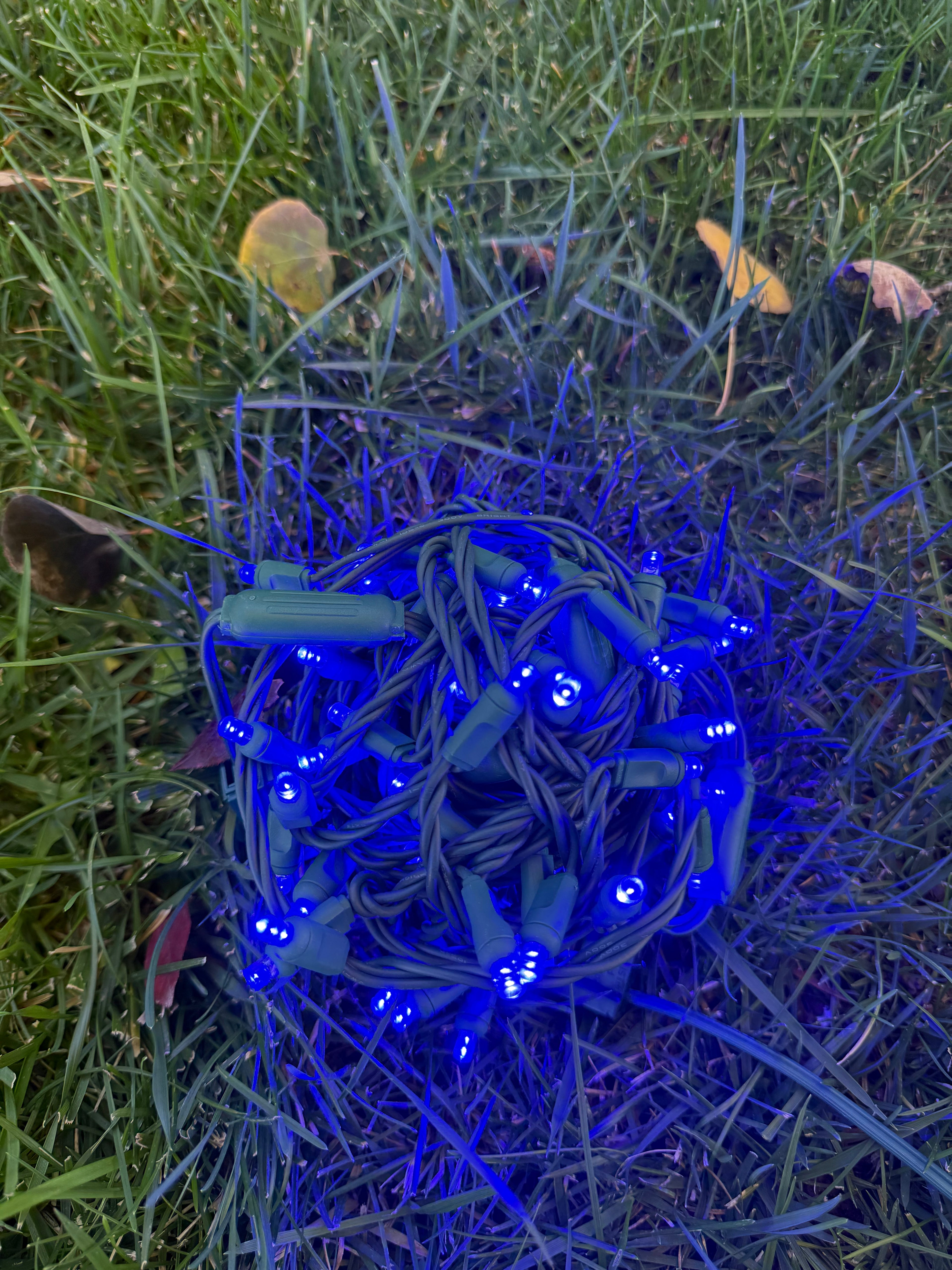 5 mm LED String Light Set – 100 Lights, 4″ Spacing